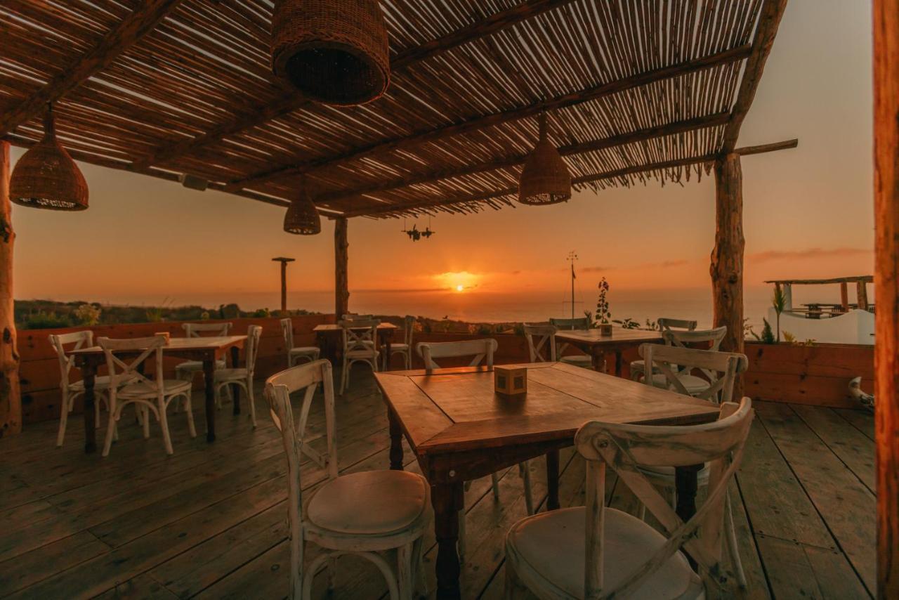 Nest Baja Hotel San José del Cabo